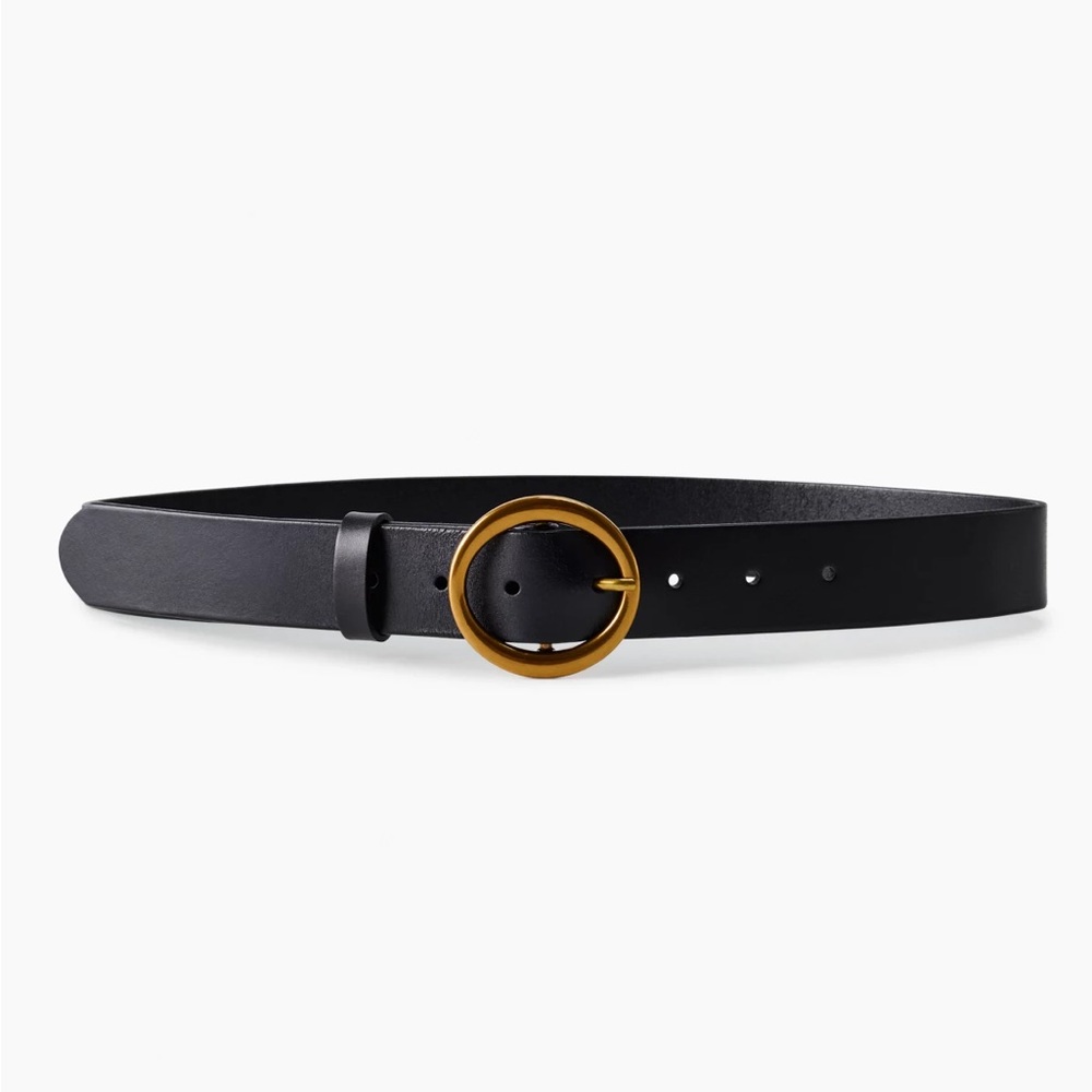 Aritzia Babaton Belt